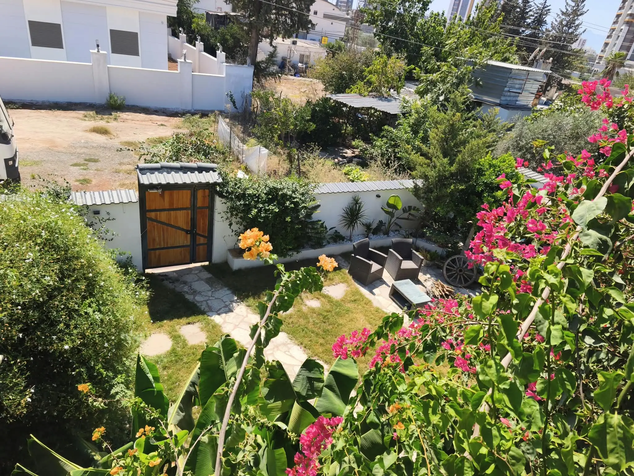 Mature garden